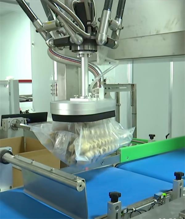 渠风生物正式投产：以创新面筋产品破局，引领小麦深加工行业升级