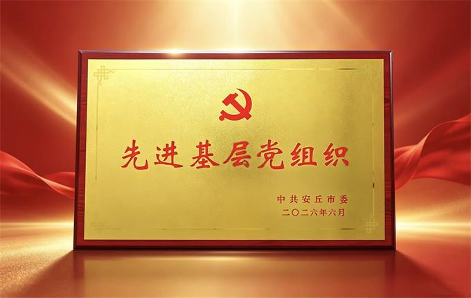 “柠”聚红色力量 献礼七一华诞｜公司党支部荣获“安